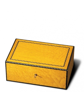 The Griffin's Large Yellow Birdseye Maple Humidor